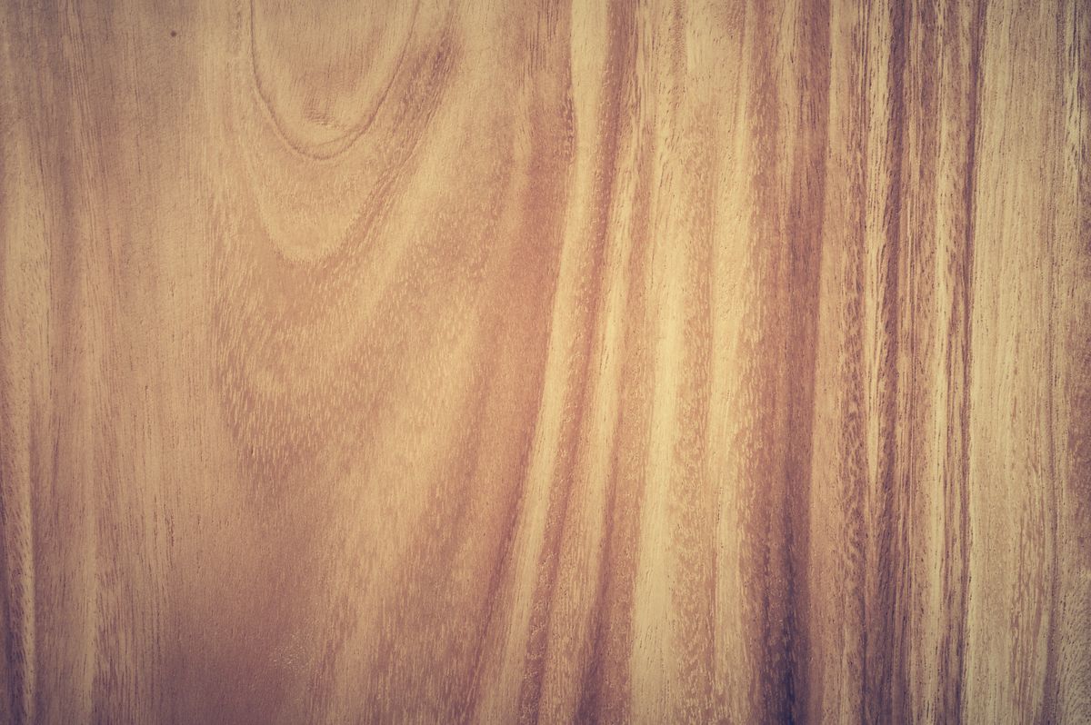 Oak timber with a rich natural grain