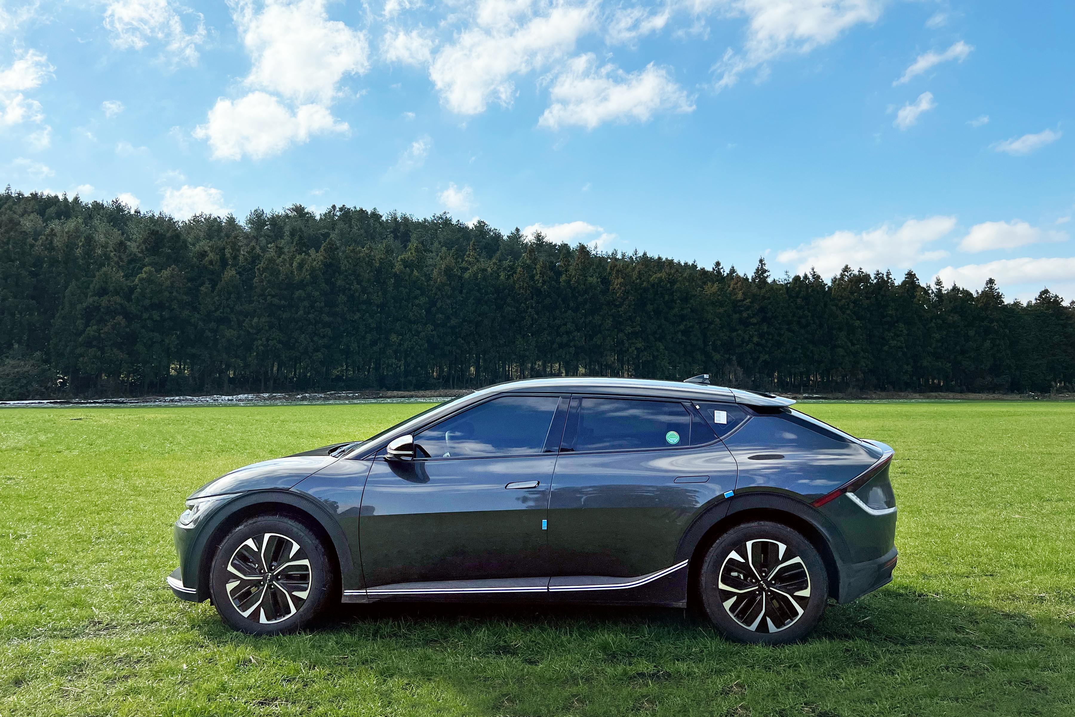 Side view of a sleek electric car parked in a lush green field under a clear blue sky.