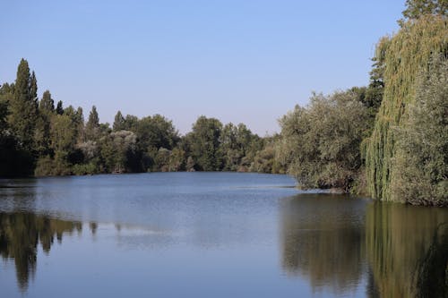 Immagine gratuita di ambiente, calma, cielo sereno