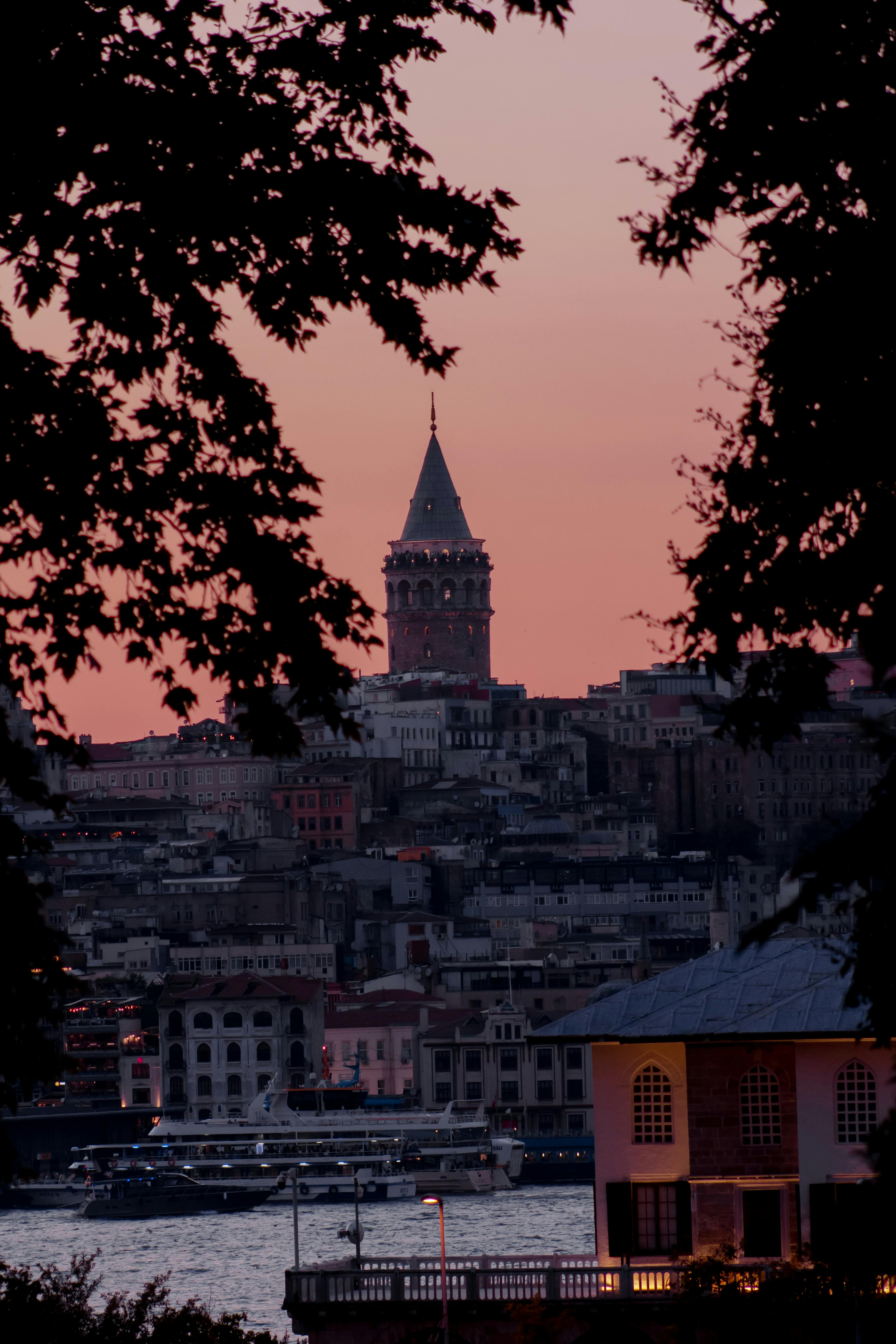 Gratuit Photos gratuites de arbres, architecture, architecture ancienne Photos