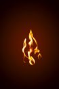 Yellow Flame