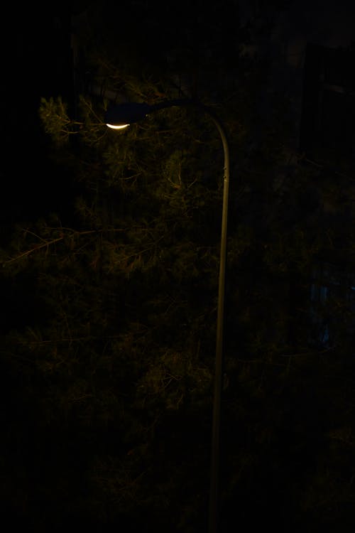 夜燈, 街, 路燈 的 免費圖庫相片