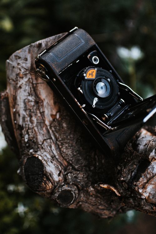 Free Close-up of a vintage film camera on a rustic tree stump outdoors. Stock Photo