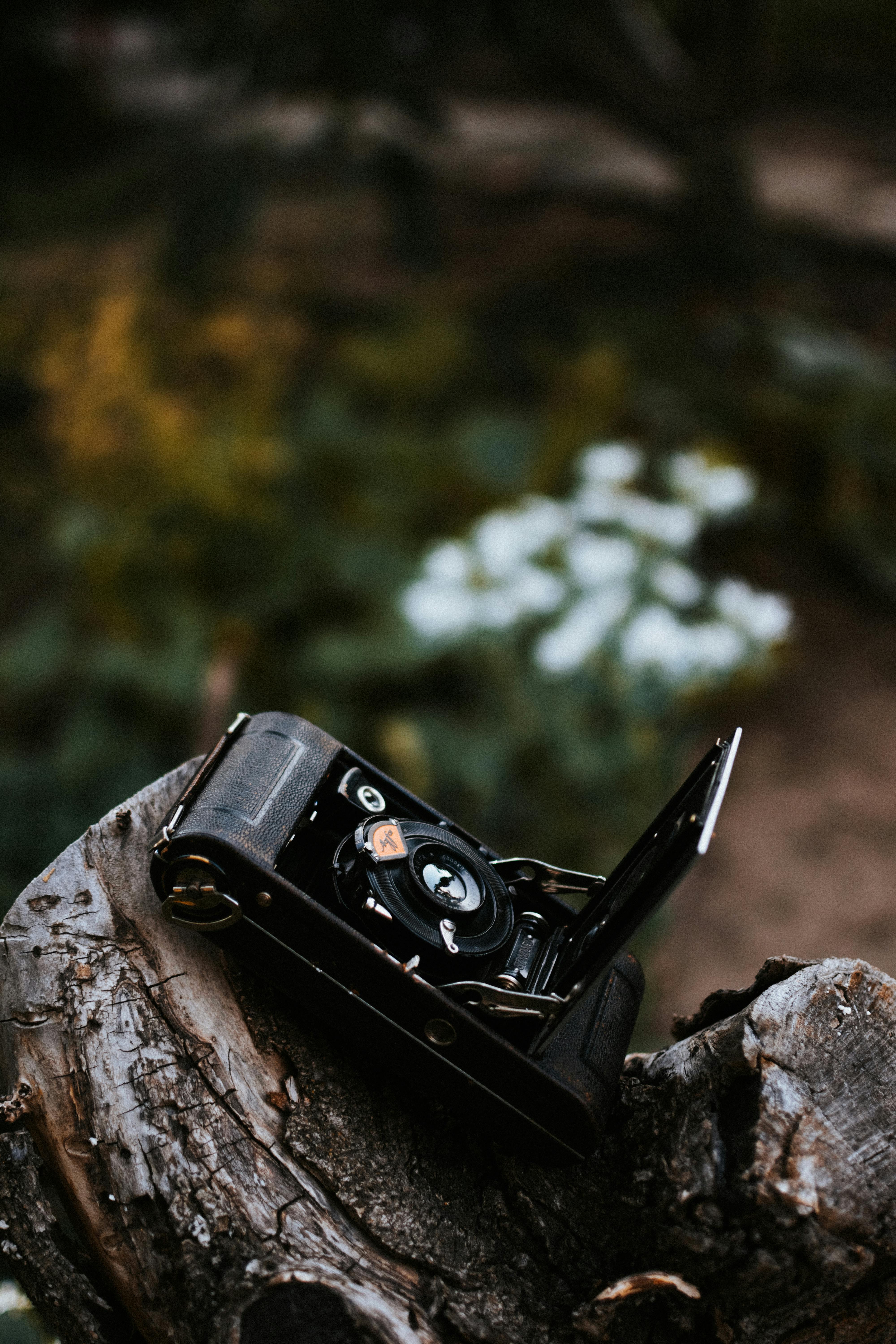 bezplatná Základová fotografie zdarma na téma analogový fotoaparát, černý fotoaparát, dědictví Základová fotografie