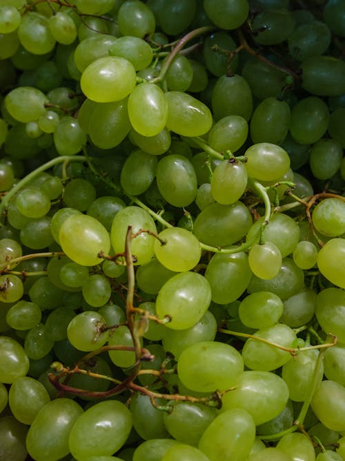 Бесплатное стоковое фото с вертикальный выстрел, здоровая пища, зеленый виноград