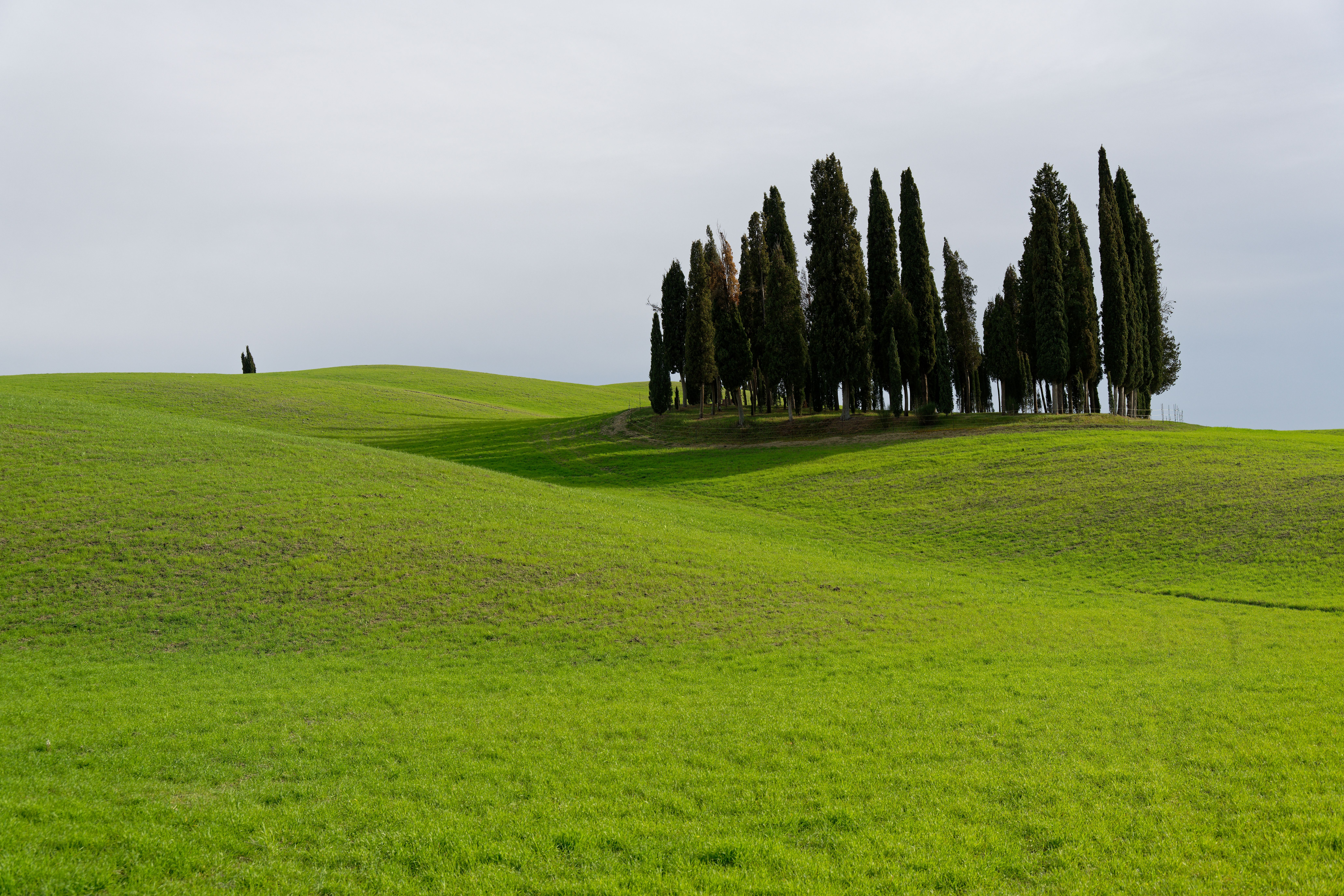 Collines du Chianti