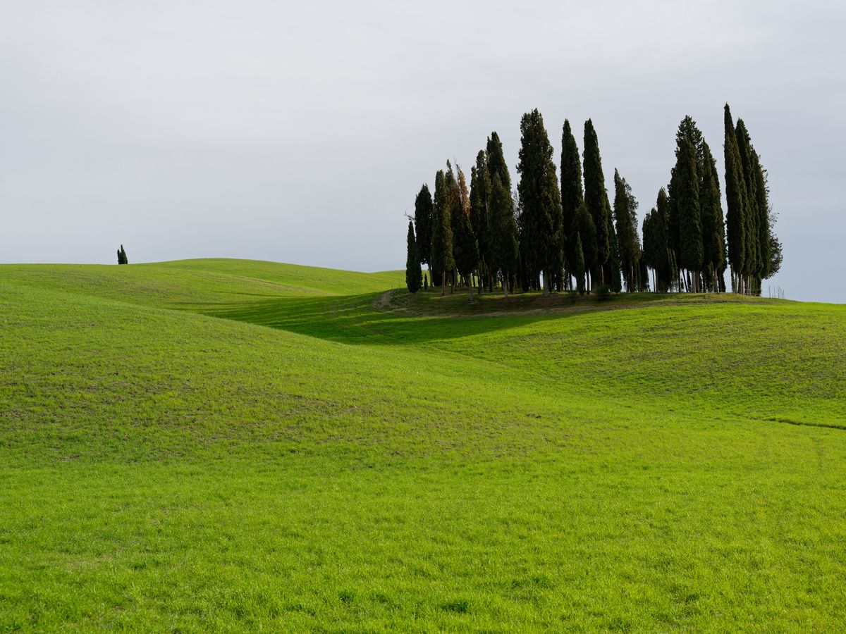 2 Day Water Element Holistic Retreat in Tuscany, Italy 2