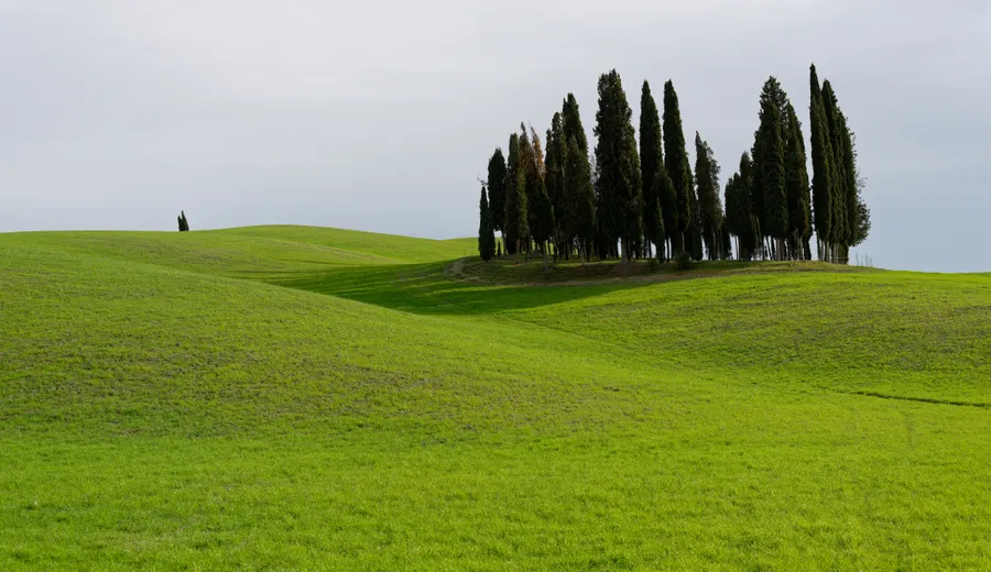 Collines du Chianti