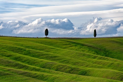 Free Green Grass Field Under White Clouds Stock Photo