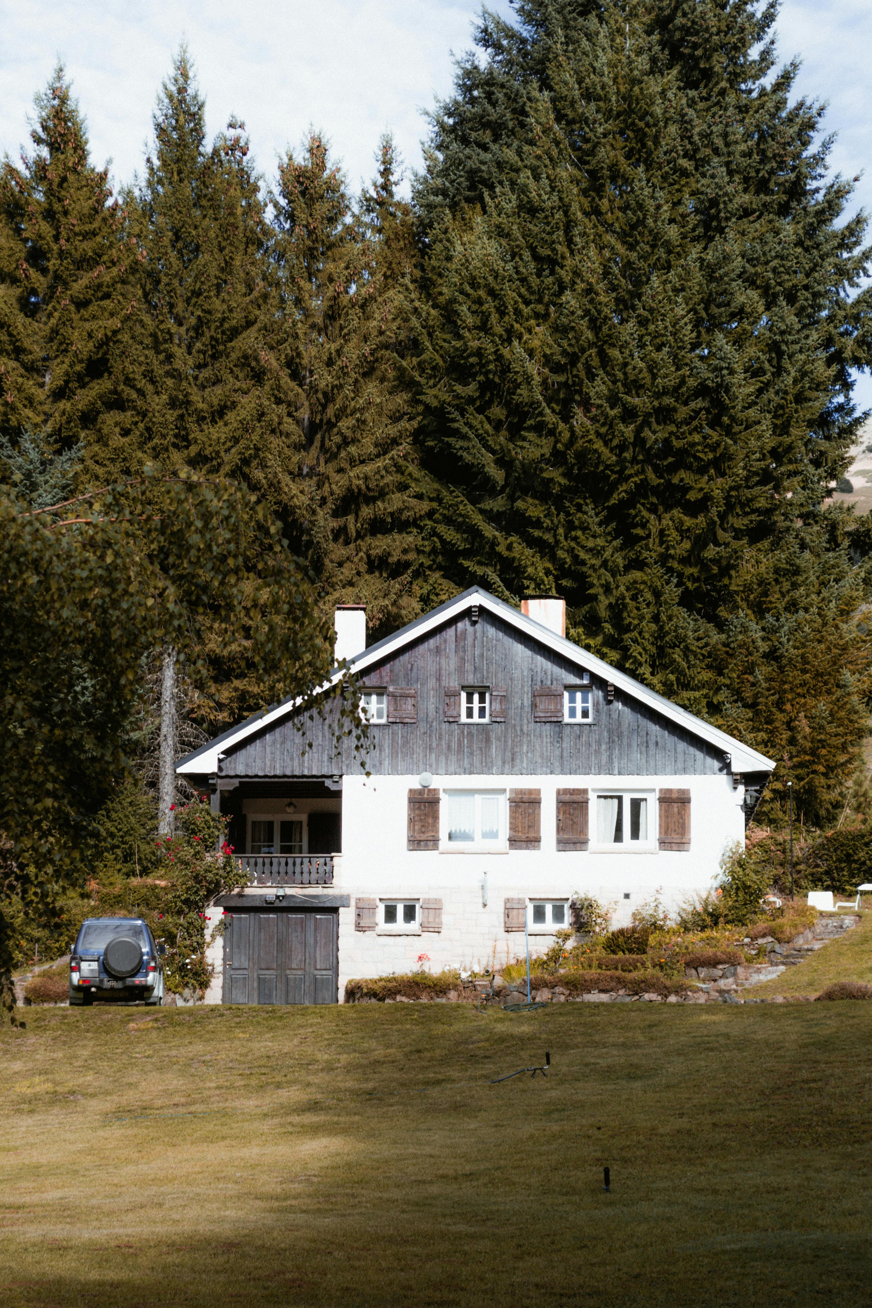 A beautiful countryside house surrounded by tall pine trees under a clear blue sky.