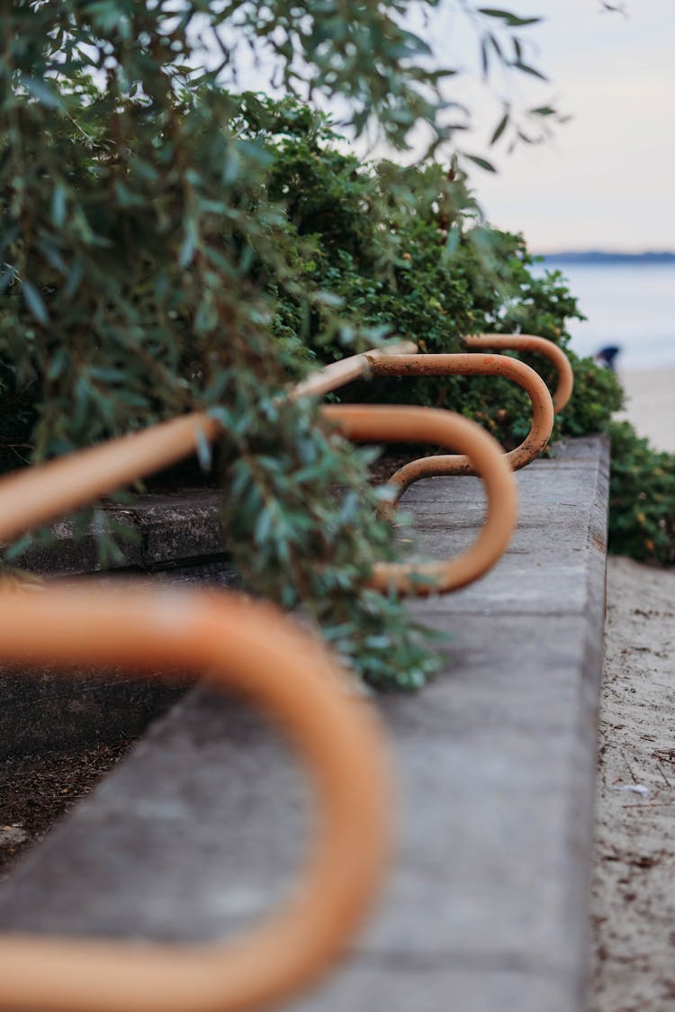 Iron Fence On Pavement Near Bushes