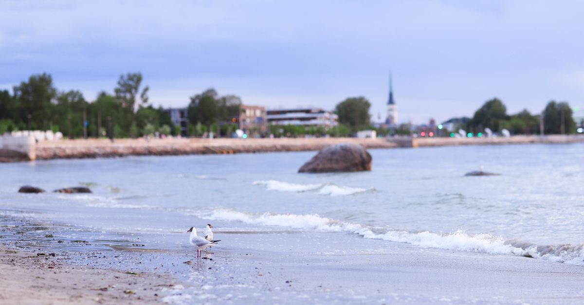 Photo of Estonia