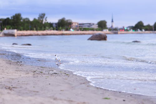 무료 모래, 물, 바다의 무료 스톡 사진