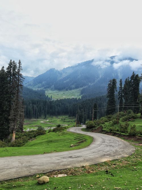 Free A winding dirt road through a lush green valley with mountain views and trees. Stock Photo