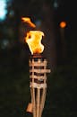 Fire in Brown Wooden Stick