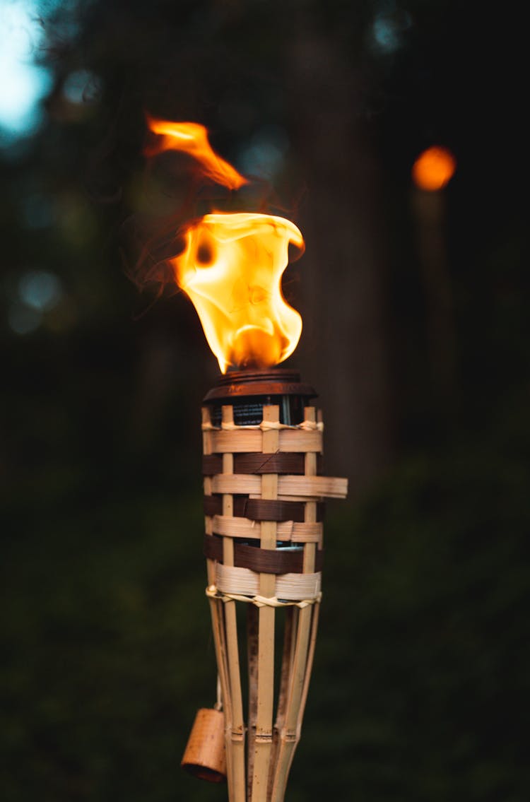 Fire In Brown Wooden Stick