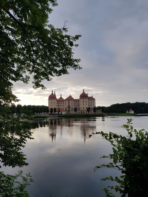 Free A beautiful view of Moritzburg Castle in Germany with its reflection in a tranquil lake. Stock Photo
