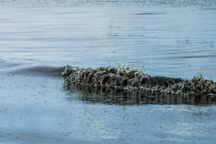 Crashing Wave On The Shore