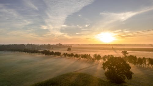 Gratis stockfoto met akkerland, dronefoto, gouden uur