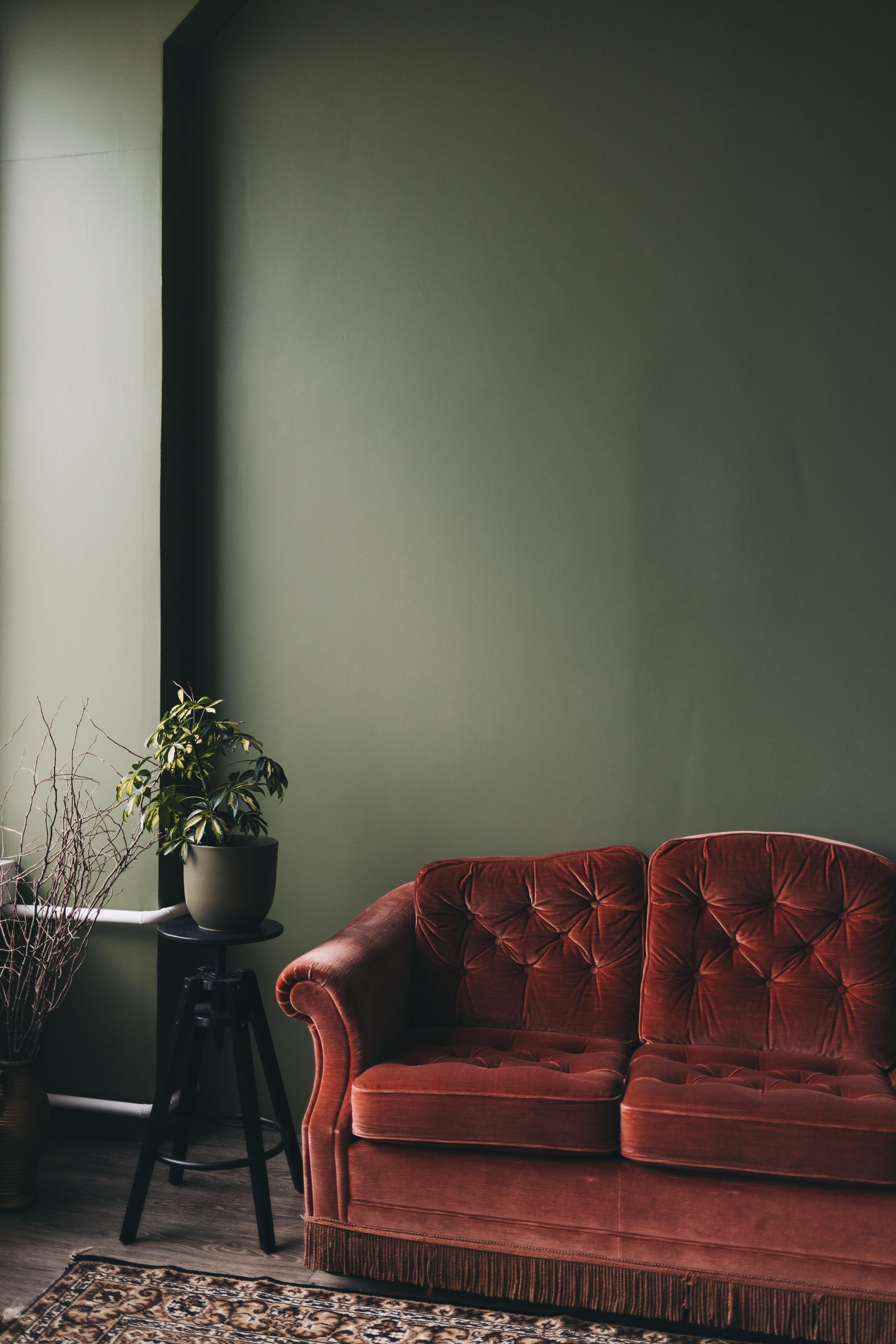 Rust red velvet sofa against a tall muted green wall with a small potted plant and dark wood side table