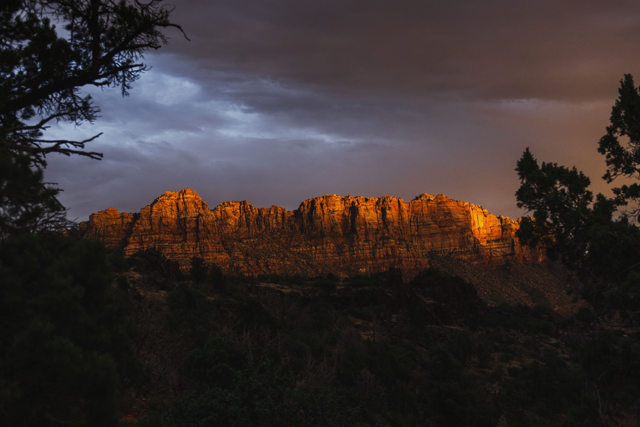 Golden evening light across the cliffs of Zion National Park