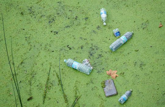 Garbage in Lake