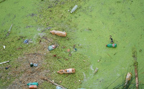  Plastic Waste Bottles on Green Moss