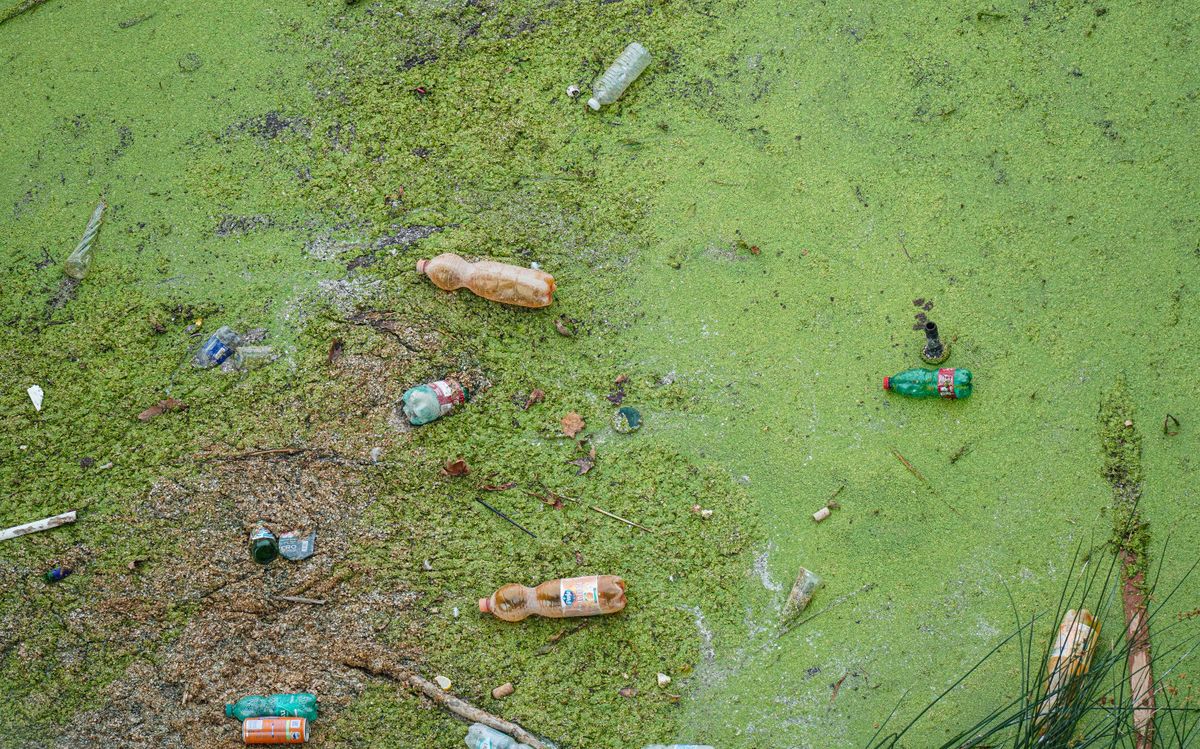 Agua verde estancada con residuos