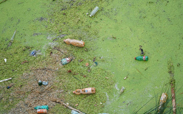  Plastic Waste Bottles On Green Moss