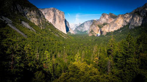 Green Forest Trees Between Beige Rock Formation Under Clear Sky during Daylight