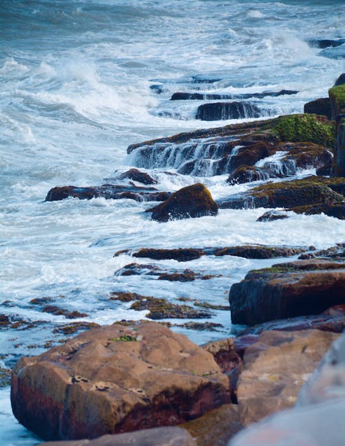 Foto profissional grátis de água, água corrente, beira-mar