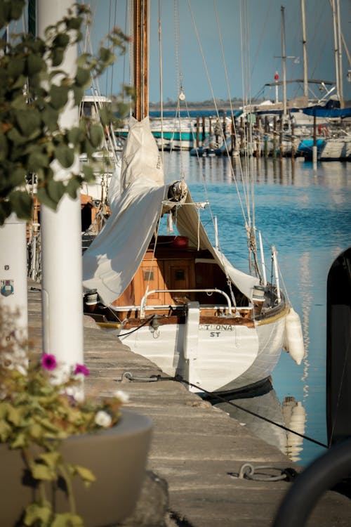 White and Brown Boat on Dock