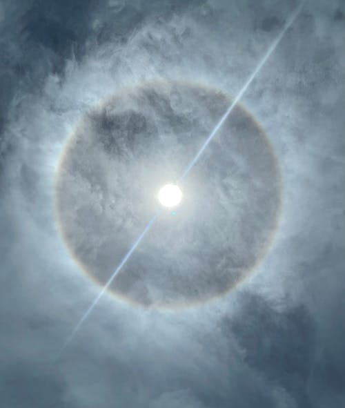 Photos gratuites de brillant, fermer, lumière du jour