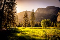 阳光明媚的森林空地、日落时的山脉和迷人的秋景，非常适合作为自然背景