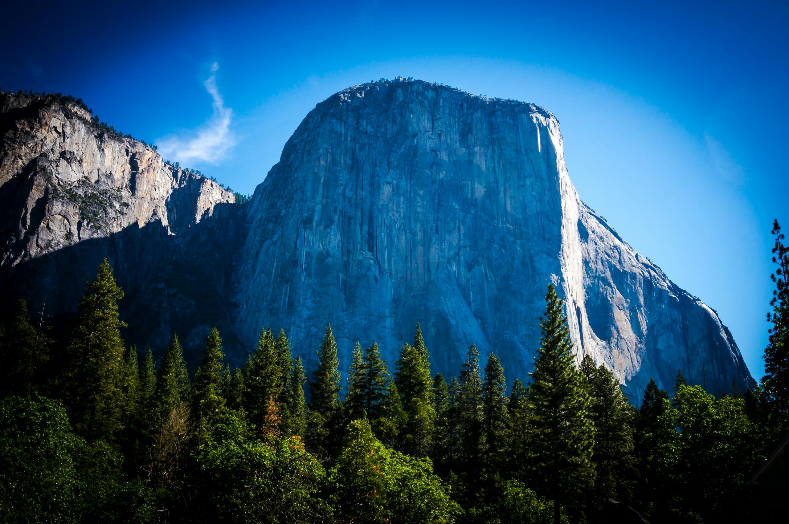 green pine trees in front of a rock mountain