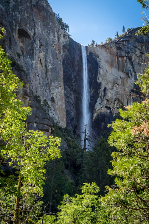クリフサイド, ヨセミテ滝, 水の無料の写真素材