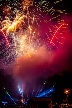 节日庆祝活动中，五彩缤纷的烟花在夜空中绽放，照亮了夜空