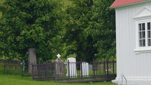 Free stock photo of cemetery, iceland