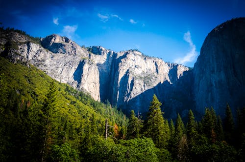 Free stock photo of cliffs, forrest, green