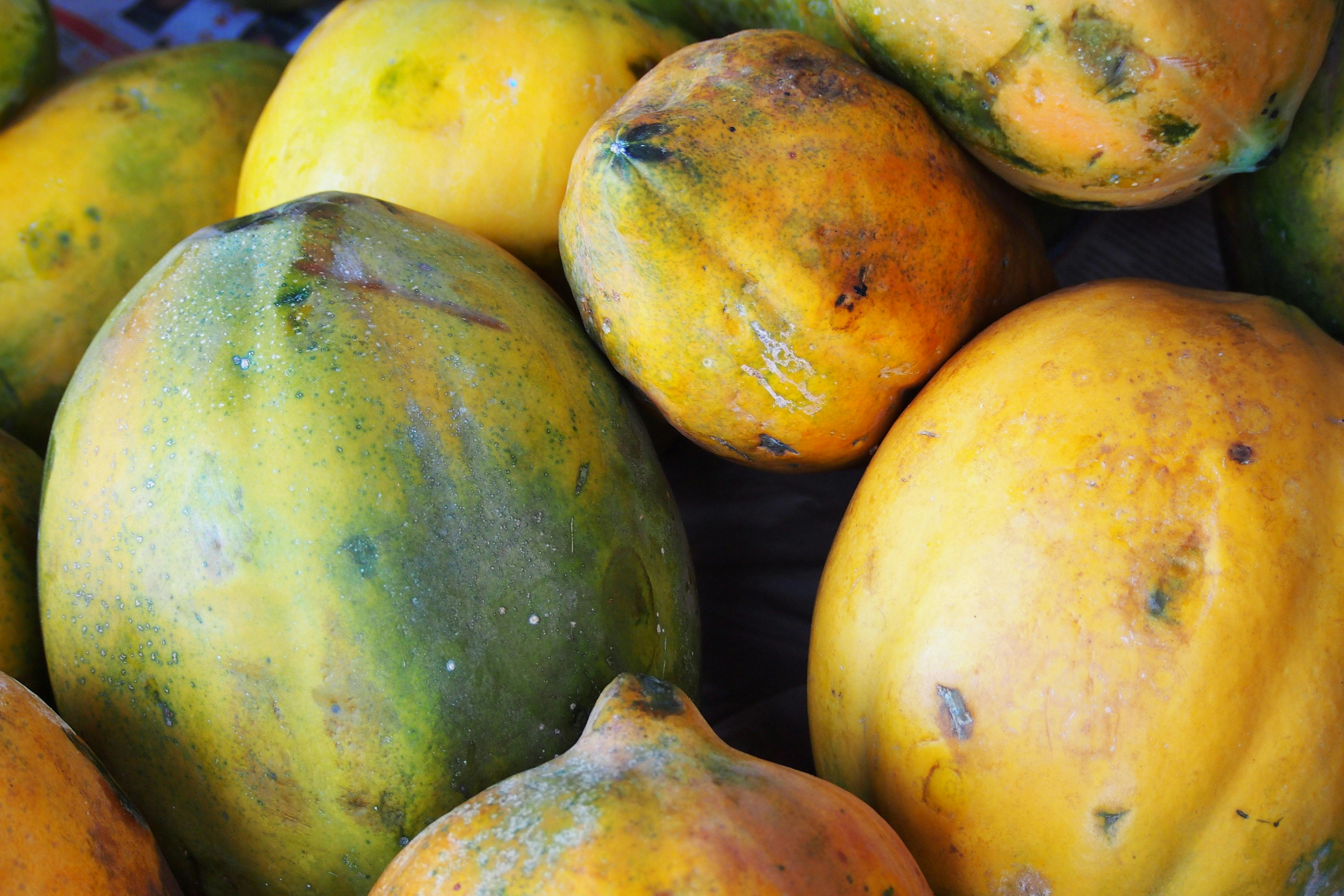 Free stock photo of fruit, papaya