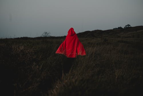 Person in Red Coat in Grassfield