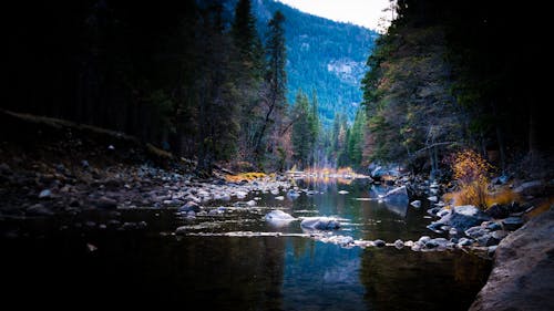 Free stock photo of reflection