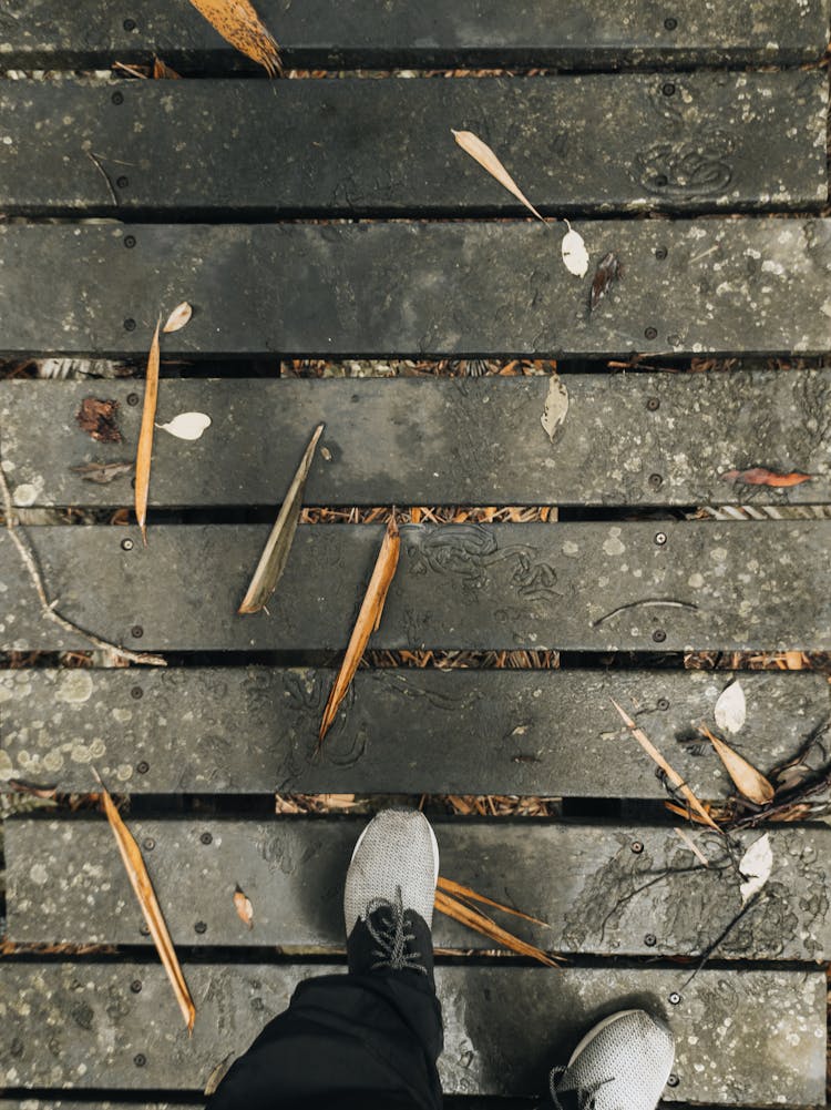 Top View Of Boardwalk And Feet 