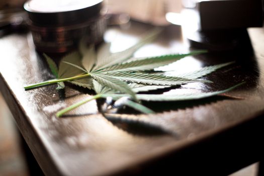 Detailed view of cannabis leaves on a wooden table, showcasing texture and natural light.