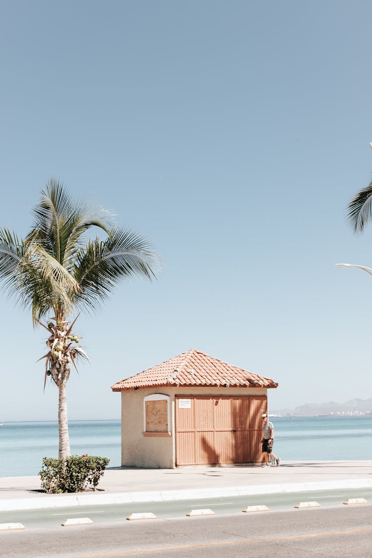 Shack Structure On The Seaside