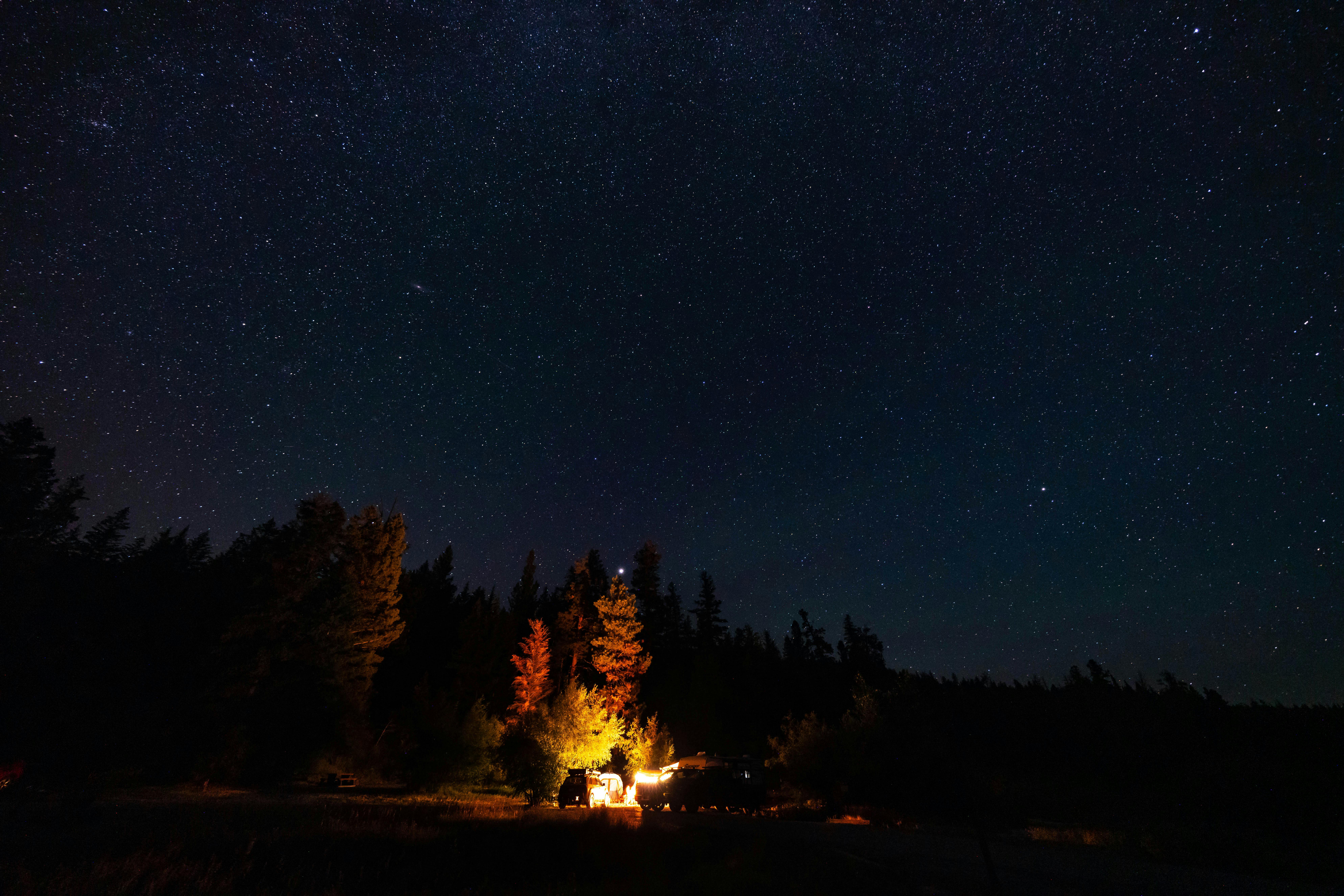 The Revival of Vintage Summer Camps: Why Adults Are Flocking to Revisi