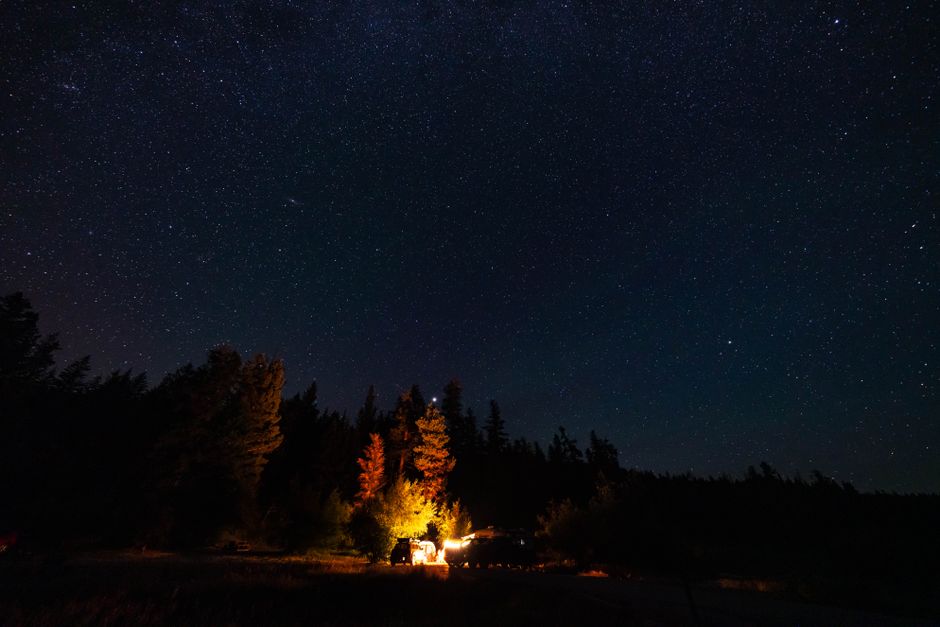 The Revival of Vintage Summer Camps: Why Adults Are Flocking to Revisi