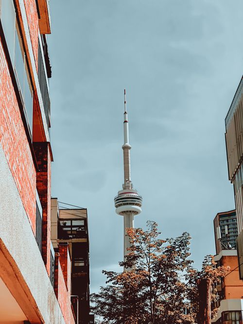 Free Low angle view of CN Tower in Toronto framed by urban buildings and autumn trees. Stock Photo