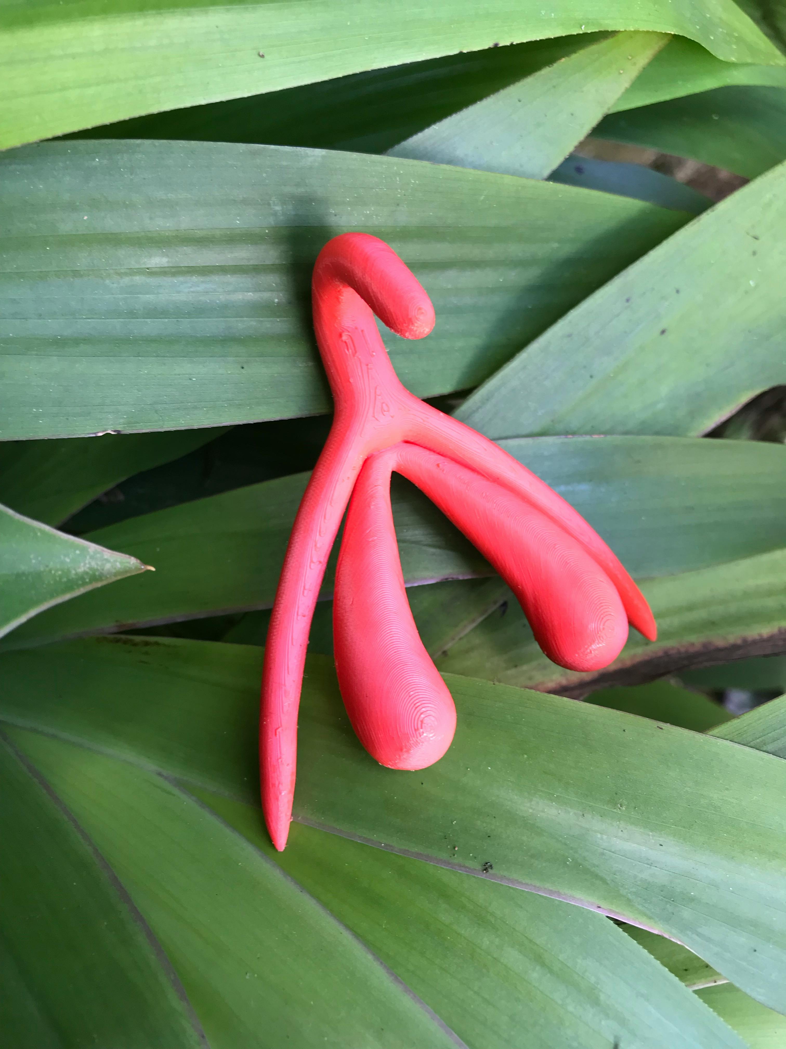 anatomical clitoris on green leaves