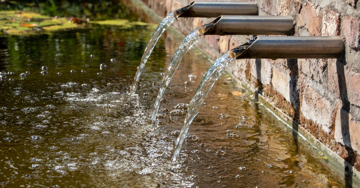 Expert Insights: Debunking Myths on Water Intake and Sleep